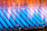 Cleedownton gas fired boilers